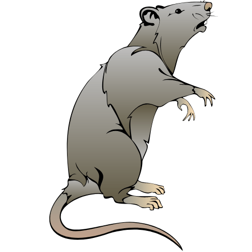 Rodents pest control in rohini delhi