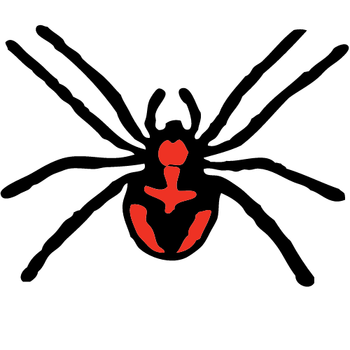 Spider pest control in rohini delhi