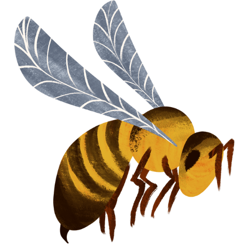 Bees pest control in rohini delhi