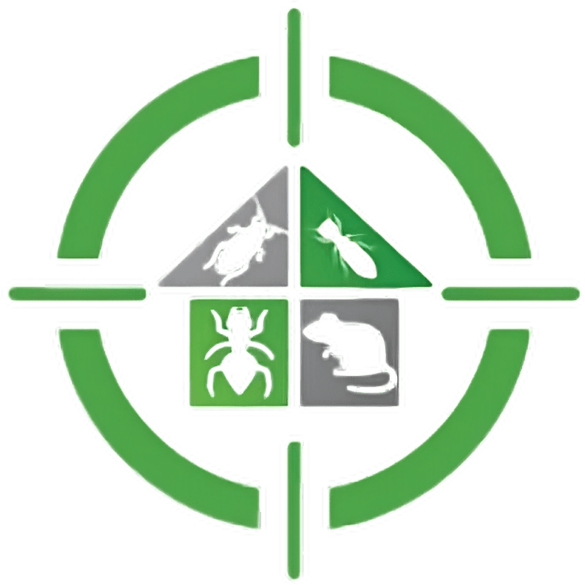 anti termite treatment in dehradun