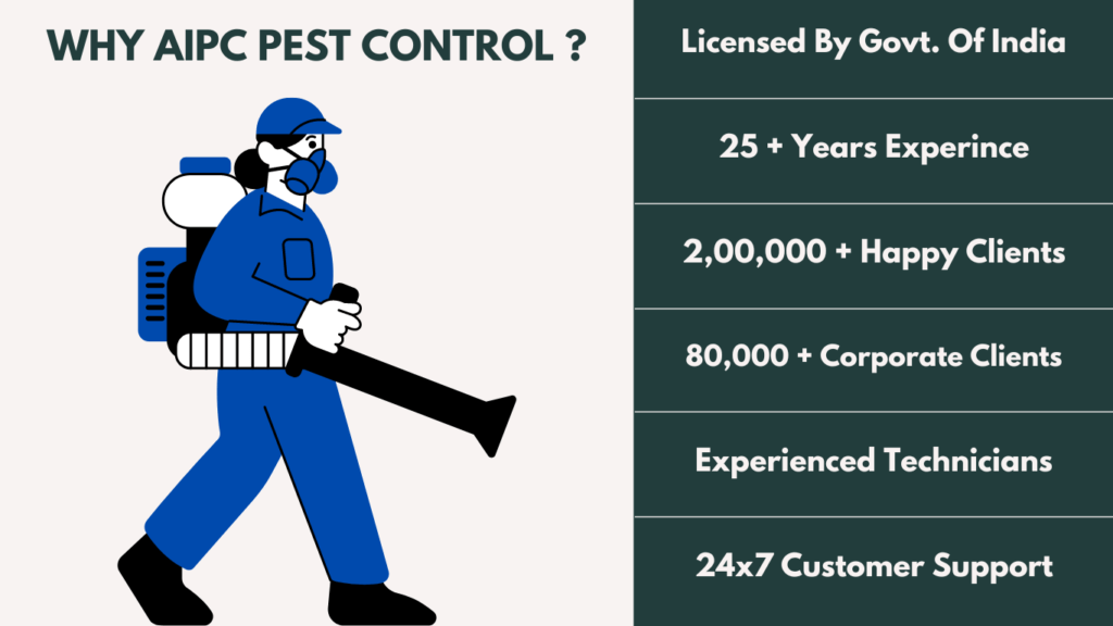 best pest control dehradun